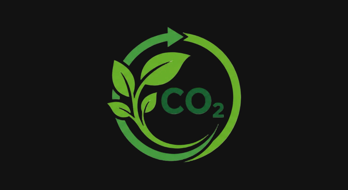 Green CO2 logo with leaves on a white background